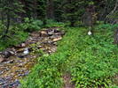 photo thumbnail #12