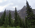 photo thumbnail #13