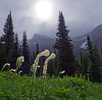 photo thumbnail #15