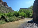 photo thumbnail #13