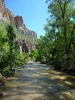 photo thumbnail #14