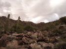 photo thumbnail #2
