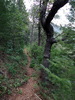 photo thumbnail #14