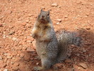 photo thumbnail #11