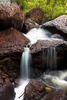 photo thumbnail #1
