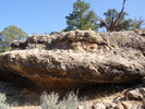 photo thumbnail #2