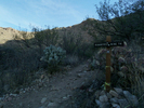 photo thumbnail #1