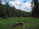 photo thumbnail #10