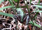photo thumbnail #7