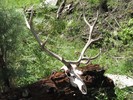 photo thumbnail #10