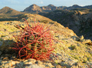photo thumbnail #6