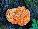 photo thumbnail #5