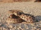 photo thumbnail #6