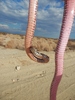 photo thumbnail #10