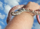 photo thumbnail #11