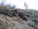 photo thumbnail #11