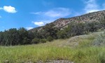 photo thumbnail #6