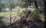 photo thumbnail #10