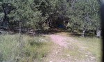 photo thumbnail #11
