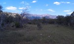 photo thumbnail #12