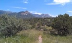 photo thumbnail #14