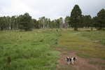 photo thumbnail #2