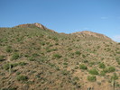 2012-08-31 :1: Mineral Mountain :: CannondaleKid