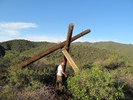 photo thumbnail #2