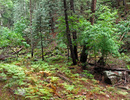 photo thumbnail #6