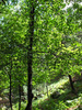photo thumbnail #13