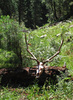 photo thumbnail #14
