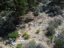 photo thumbnail #10