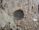 photo thumbnail #14