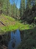 2012-08-25 :1: Merritt Draw Loop (Lower) - Mogollon Rim :: Oregon_Hiker