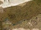 Featured Detail Photo