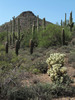 photo thumbnail #5