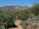 photo thumbnail #6
