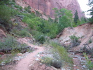 photo thumbnail #5