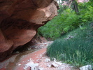 photo thumbnail #9