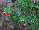 photo thumbnail #5