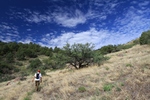 photo thumbnail #6