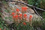 photo thumbnail #15