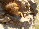 photo thumbnail #11