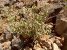 Featured Detail Photo