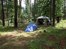 photo thumbnail #5