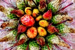 photo thumbnail #10