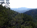 photo thumbnail #5