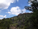 photo thumbnail #14
