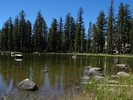 photo thumbnail #2