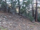 photo thumbnail #2